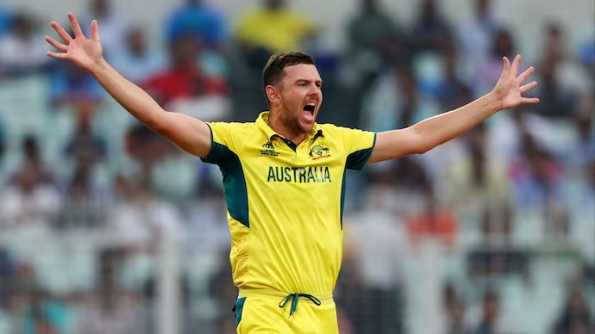 Josh Hazlewood Looks For More Game Time Ahead Of T20 World Cup: After Missing IPL 2024