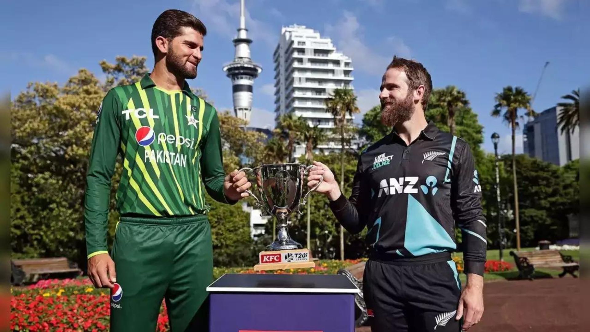 PAK Vs NZ, 3rd T20 & Live Streaming, Pakistan tour of New Zealand 2024